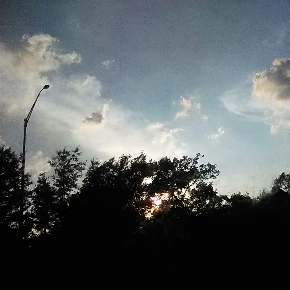 Meet your Posher, Niyahgotcurls